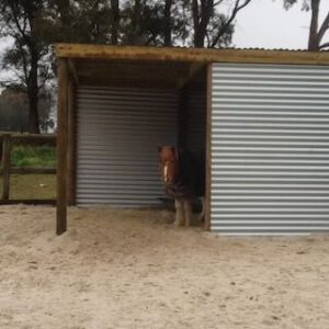 A shelter for a pony
